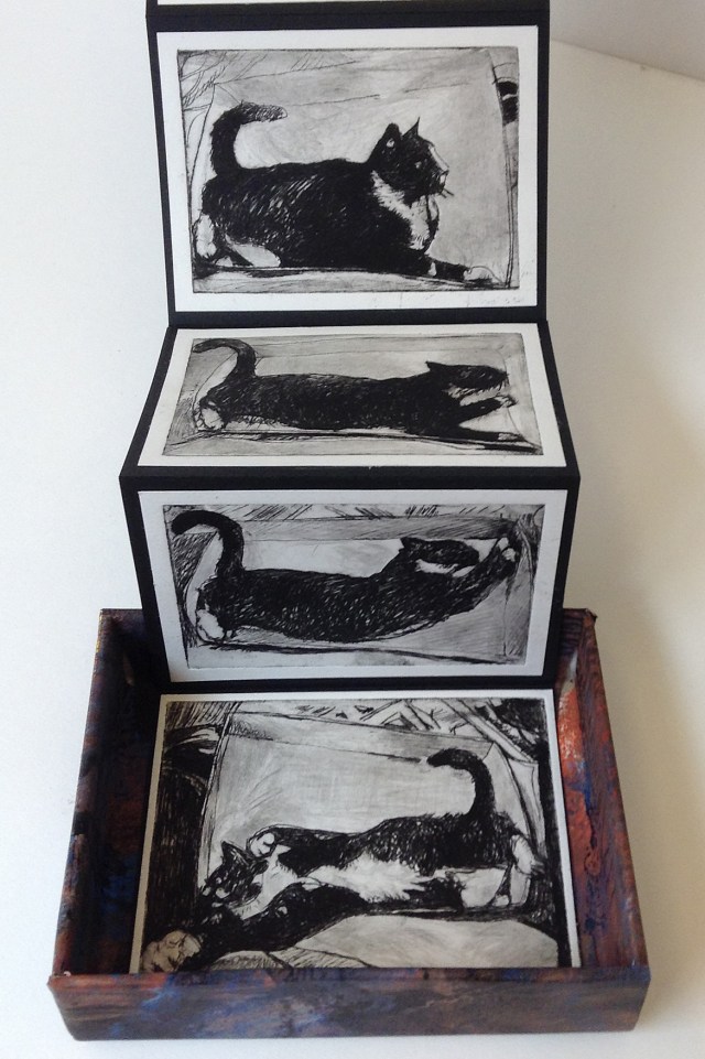 IMG_1410 Etching Artist Book CAT no3