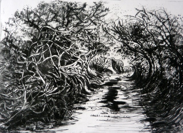 Ims photos14 016 Pembrokeshire path etching